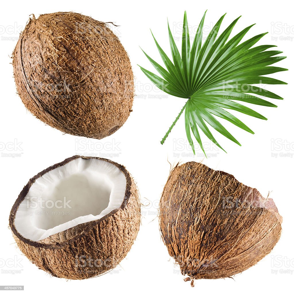 Coconut Buyers in Tamilnadu